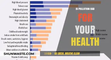 How Pollution Impacts Our Health and Wellbeing