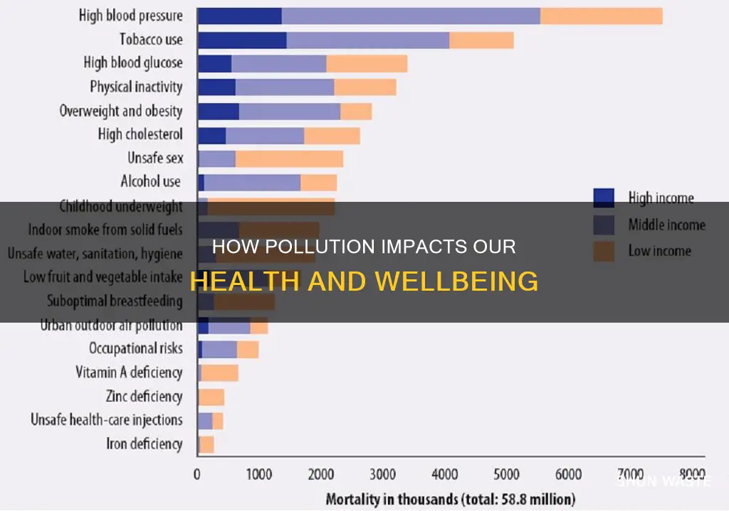 is pollution bad for your health