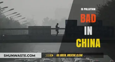 China's Pollution Crisis: Is It Getting Better?