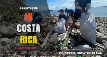 Costa Rica's Pollution Problem: How Bad Is It?