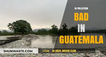 Guatemala's Pollution Problem: A Growing Concern