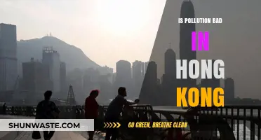 Hong Kong's Pollution Problem: A Critical Analysis