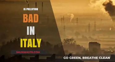 Italian Pollution: How Bad Is It?