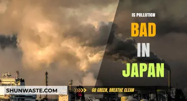 Japan's Pollution Problem: Is the Country Winning the War?