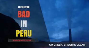 Peru's Pollution Problem: Is It Getting Worse?