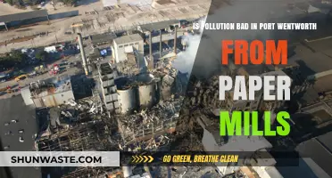 Paper Mills: Port Wentworth's Pollution Problem?