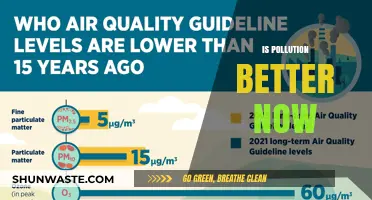 Pollution's Evolution: Better or Worse?