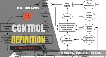 Pollution Control: Bottom-Up Strategies for a Greener Future