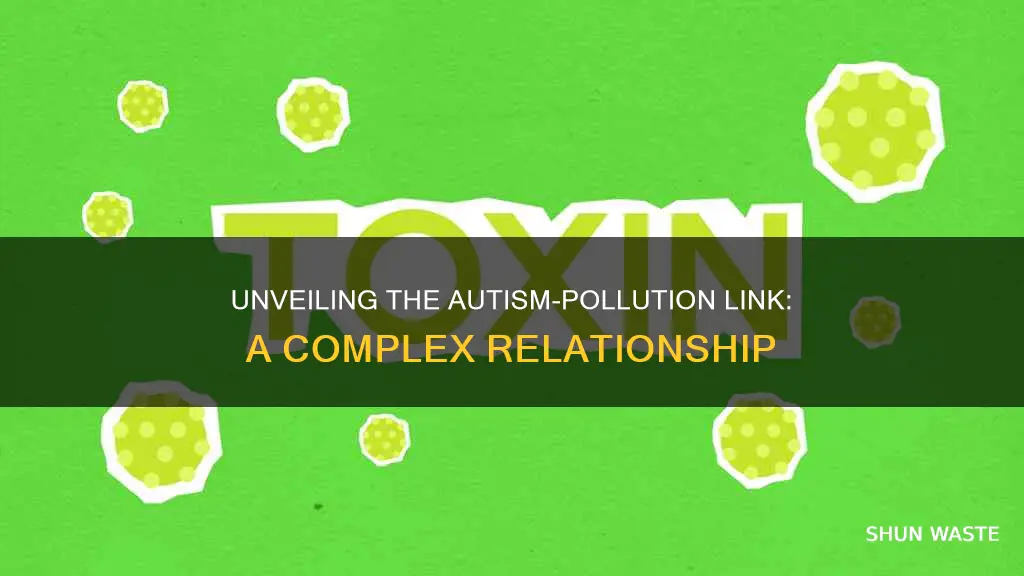 is pollution causing autism