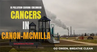 Canon-McMillan's Children: Unraveling the Pollution-Cancer Link