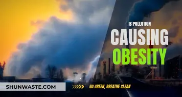 Pollution's Surprising Link to Weight Gain: Uncovering the Hidden Obesity Crisis