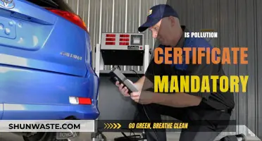 Pollution Certificate: A Must-Have or an Unnecessary Hassle?