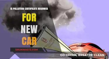 Pollution Certificate: A New Car Necessity?