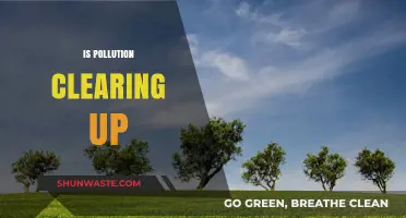 Pollution's Silver Lining: Nature's Healing Power