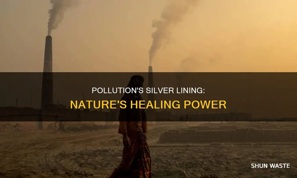 is pollution clearing up