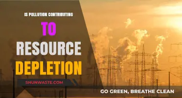 Pollution's Impact: Depleting Our Natural Resources