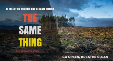 Pollution Control: Climate Change's Ally?