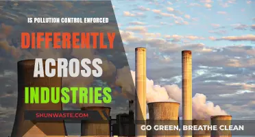 Pollution Control: Industry-Specific Enforcement?