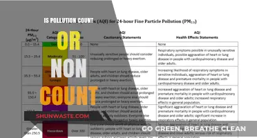 Understanding Pollution: Count vs Non-Count Nouns