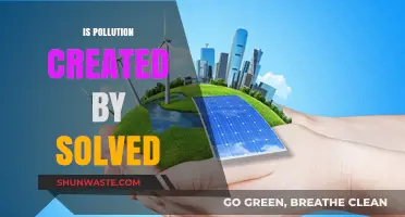 Pollution: Solved or Swallowed?