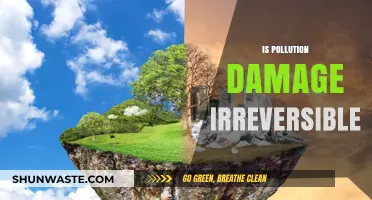 Pollution Damage: Can We Ever Recover?