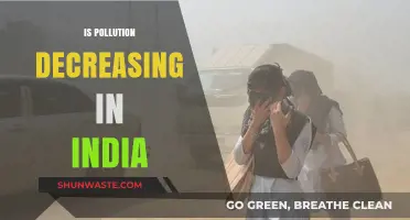 Pollution in India: Is the Tide Turning?