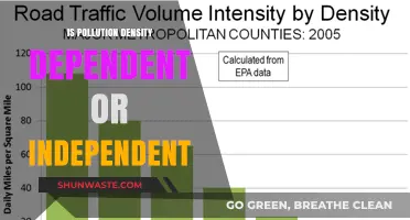 How Pollution Density Affects Our World