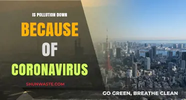 How COVID-19 Impacted Pollution Levels