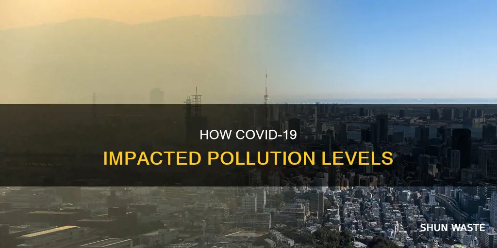 is pollution down because of coronavirus