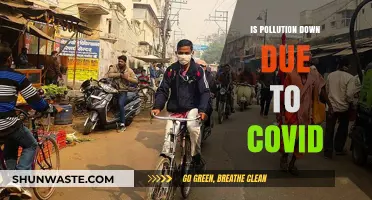 How COVID-19 Impacted Pollution Levels