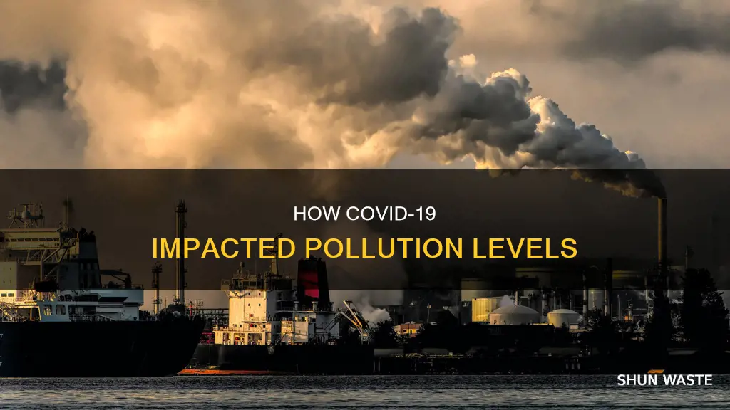 is pollution down due to covid
