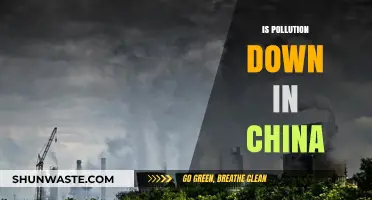 China's Pollution Levels: A Comprehensive Overview