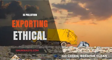 Pollution Export: Ethical or Environmental Racism?