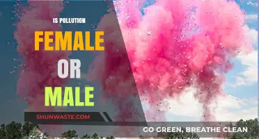 The Gendered Face of Pollution: Who Suffers More?