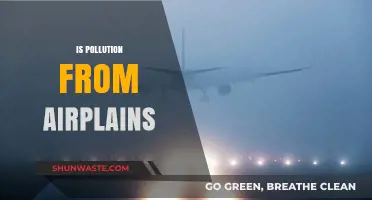 Airplane Pollution: What's the Real Damage?