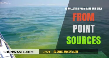 Lake Erie Pollution: Beyond Point Sources?