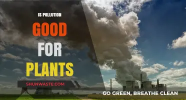 Pollution's Impact: Friend or Foe for Plants?