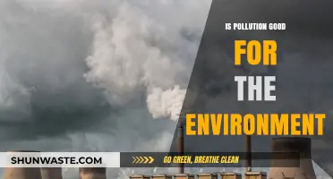 The Silver Lining of Pollution: Exploring Environmental Benefits