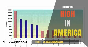 Air Pollution in America: A Growing Concern?