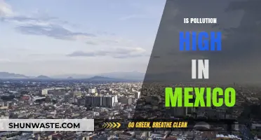 Mexico's Pollution Problem: A Critical Analysis