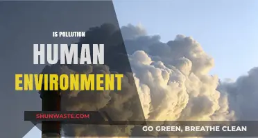 Human-Made Pollution: Impacting Our Environment