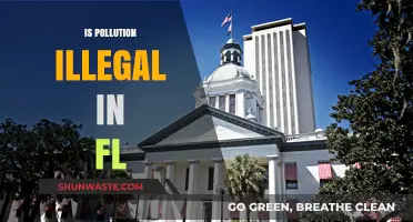 Florida's Pollution Problem: What's Legal, What's Not?