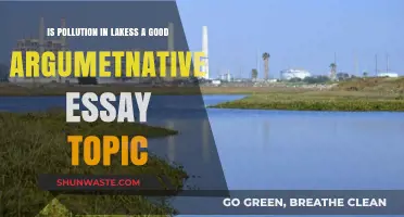Lakes' Pollution: A Worthy Essay Topic?