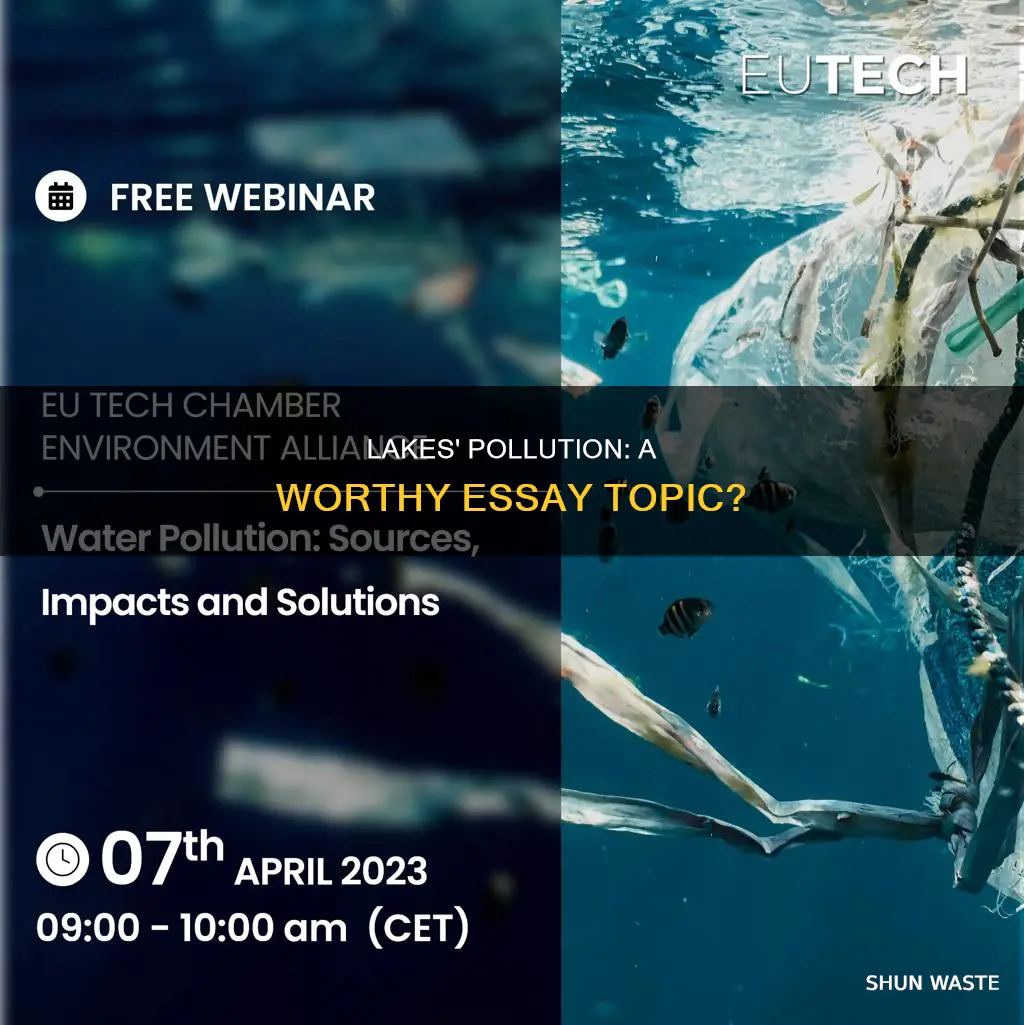 is pollution in lakess a good argumetnative essay topic