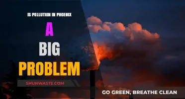 Phoenix Pollution: A Growing Concern?