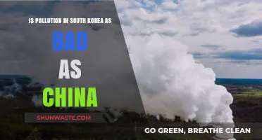 South Korea's Pollution Problem: China's Rival?