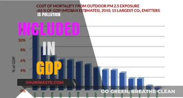 GDP's Pollution Problem: What's the Real Cost?