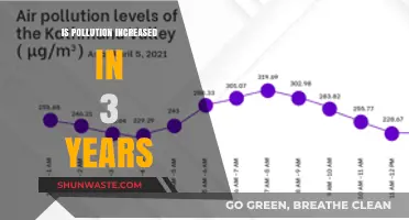 Pollution's Steady Rise: A Three-Year Analysis