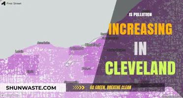Cleveland's Pollution Crisis: Is It Getting Worse?