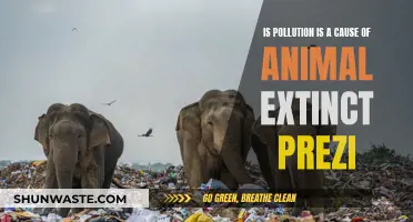 Pollution's Impact: A Threat to Animal Extinction